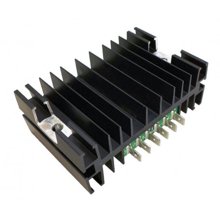 Silent Hektik Régulateur  LIMA 14V 30A