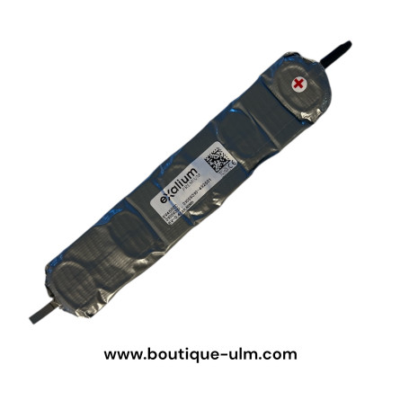 Lynx Avionics Batterie de Remplacement Microsystem G3