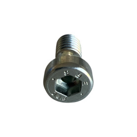 Rotax allen screw din 6912
